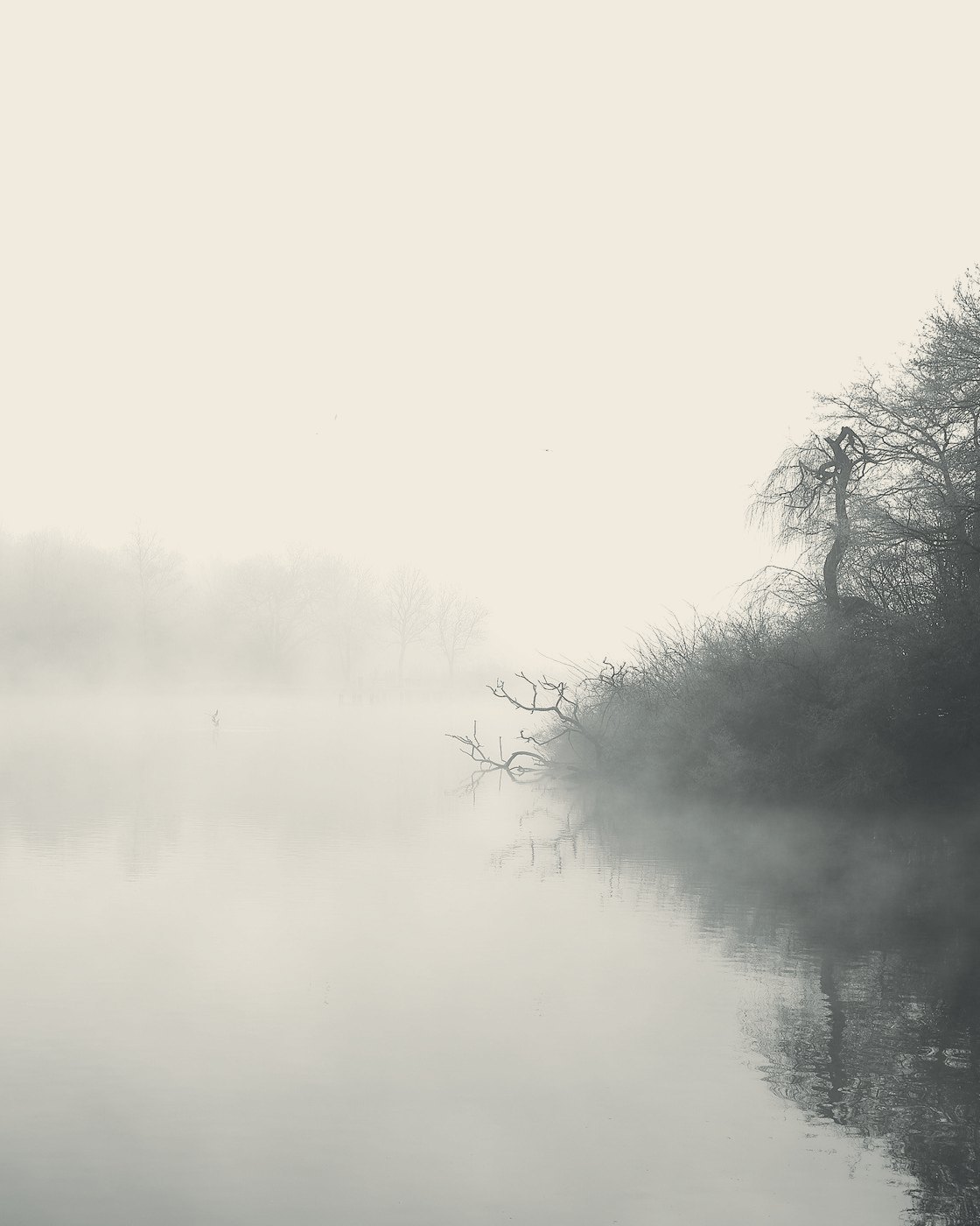 Trees thick on one bank, thinning into mist over open water